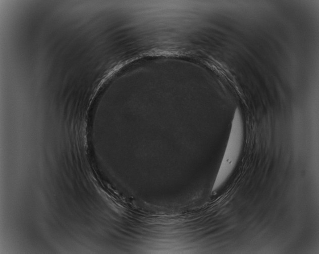 X0000052650204200507160232