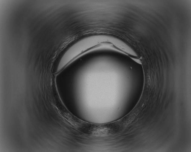 X0000052650206200507160232