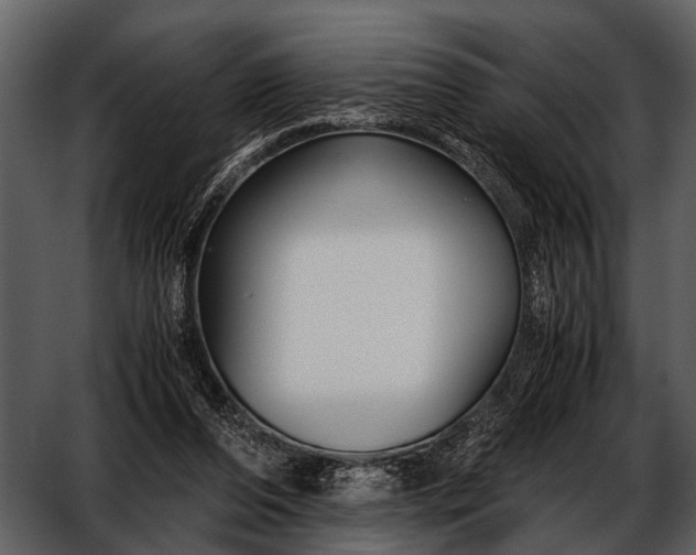 X0000052650208200507160232