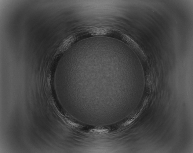 X0000052650209200507160232