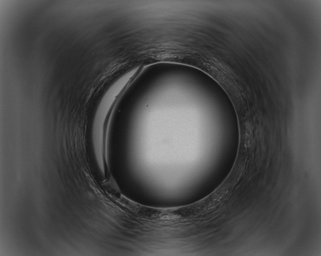 X0000052650210200507160232