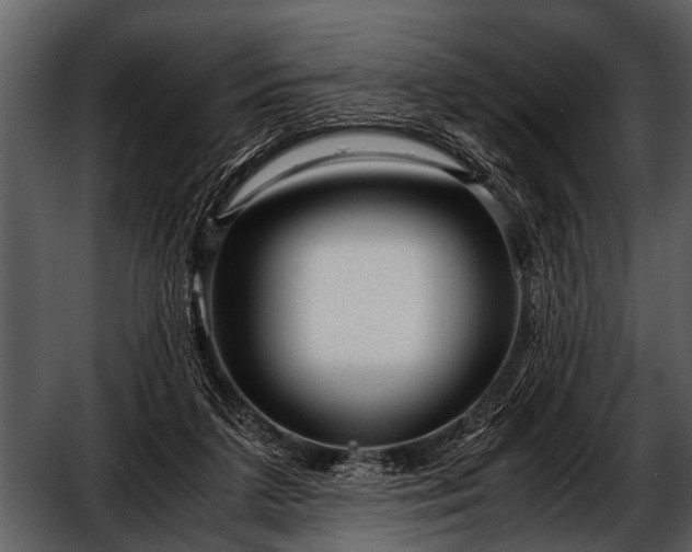 X0000052650211200507160232