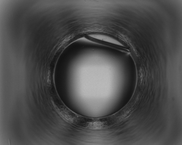 X0000052650212200507160232