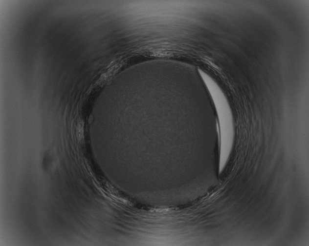 X0000052650213200507160232