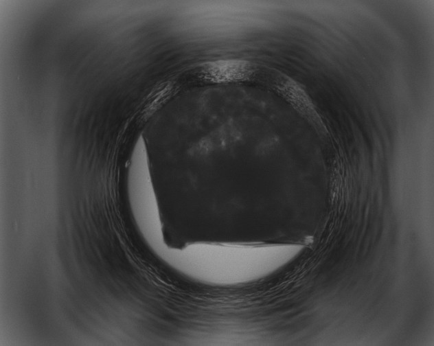 X0000052650214200507160232