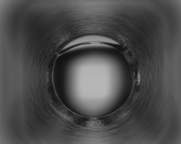 X0000052650215200507160232