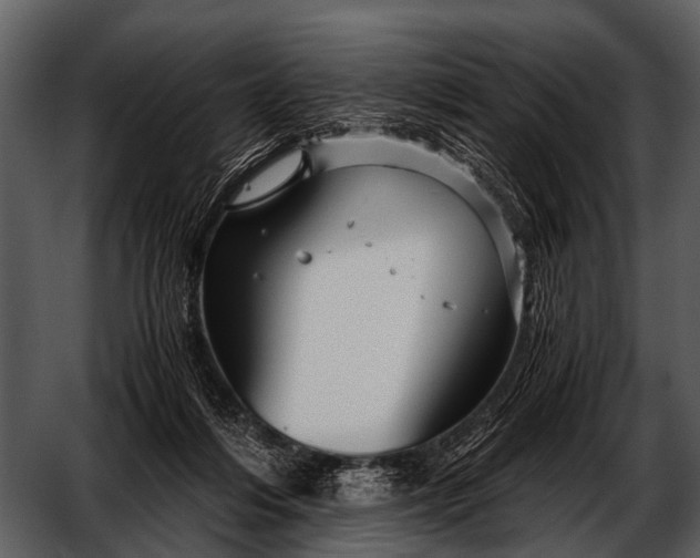 X0000052650216200507160232