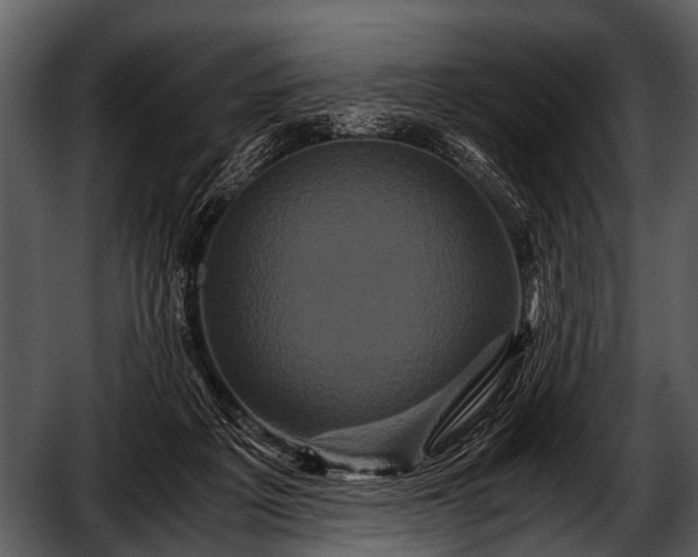 X0000052650217200507160232