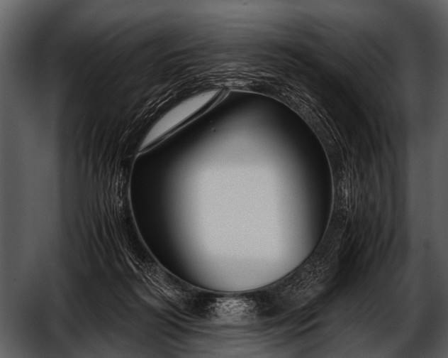 X0000052650218200507160232