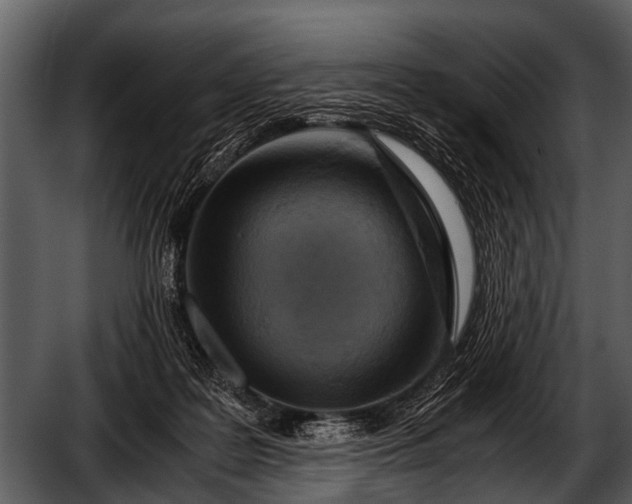 X0000052650219200507160232