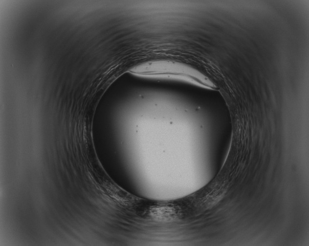 X0000052650220200507160232