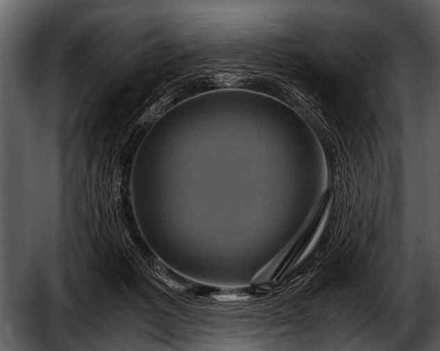 X0000052650221200507160232