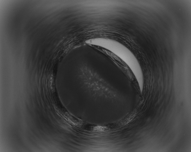 X0000052650222200507160231