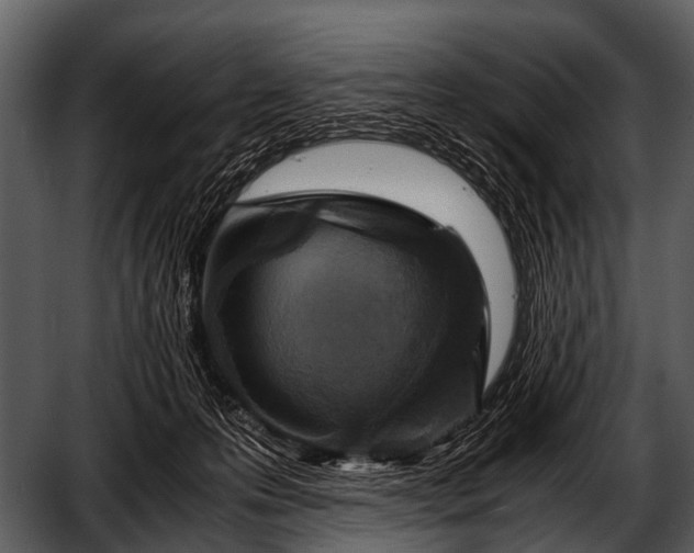 X0000052650223200507160231