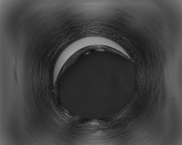 X0000052650224200507160231