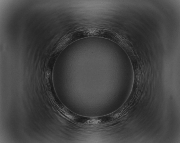 X0000052650225200507160231