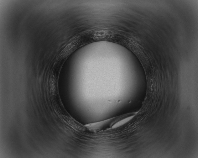 X0000052650226200507160231