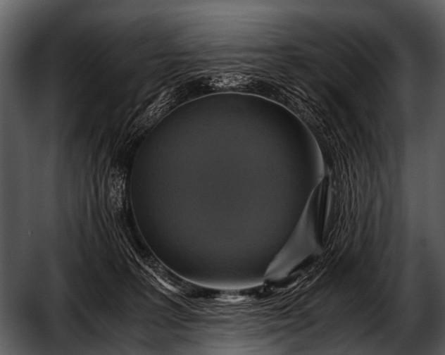 X0000052650227200507160231