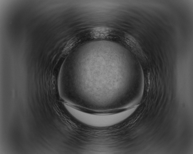 X0000052650228200507160231