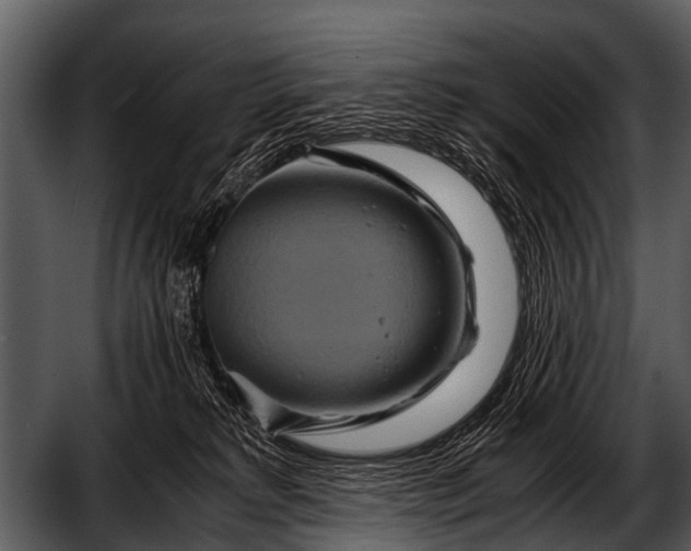 X0000052650229200507160231