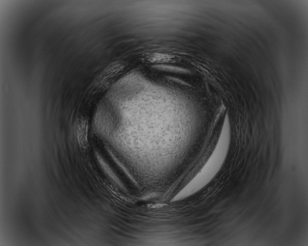 X0000052650230200507160231