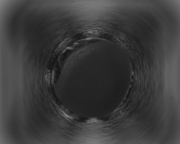 X0000052650231200507160231