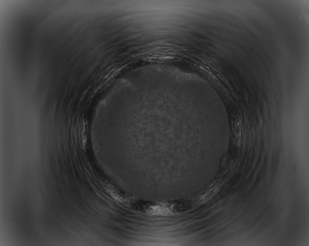 X0000052650232200507160231