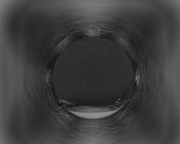 X0000052650233200507160231