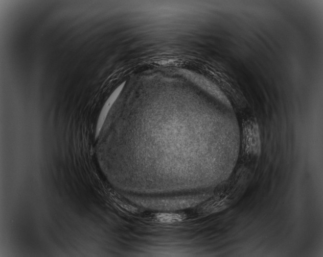 X0000052650234200507160231