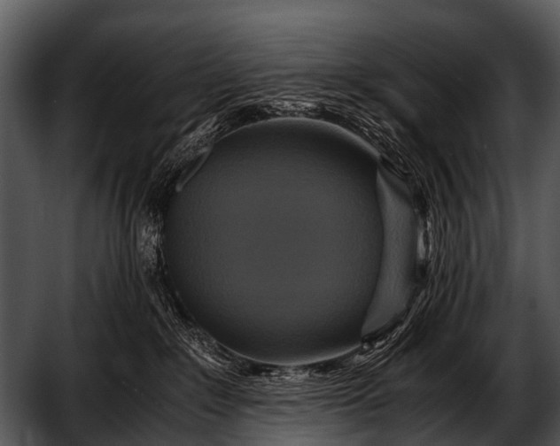 X0000052650235200507160231