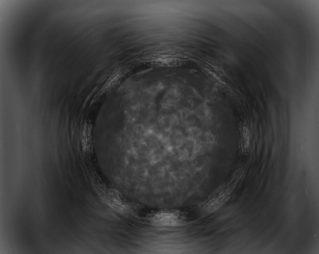 X0000052650236200507160231