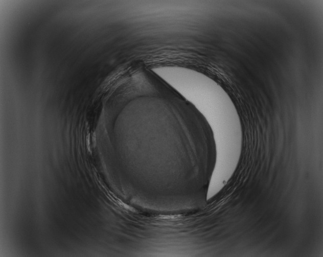 X0000052650237200507160231