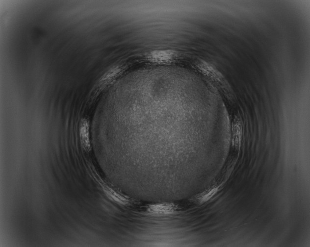 X0000052650238200507160231