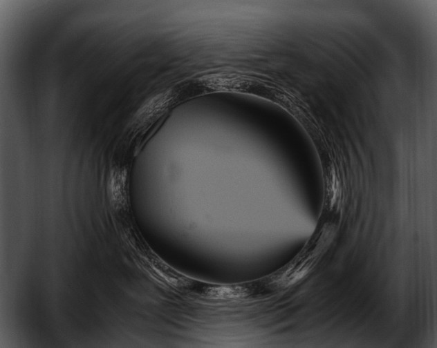 X0000052650239200507160231