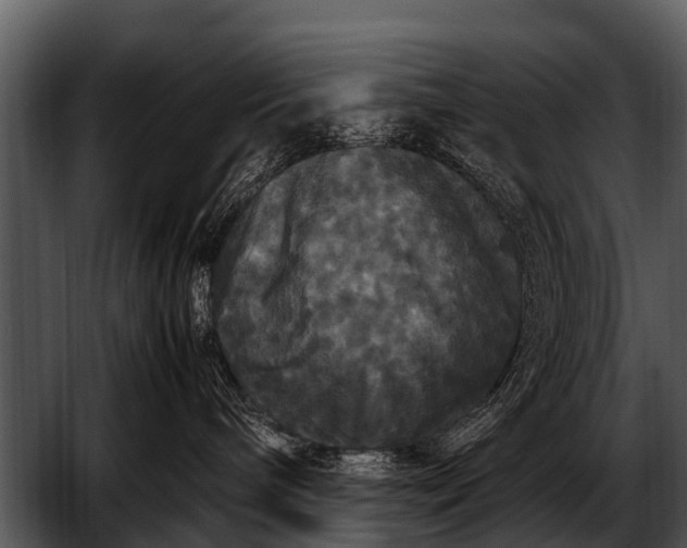 X0000052650240200507160231