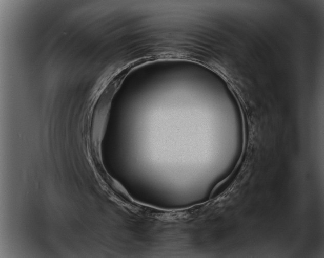 X0000052650241200507160230