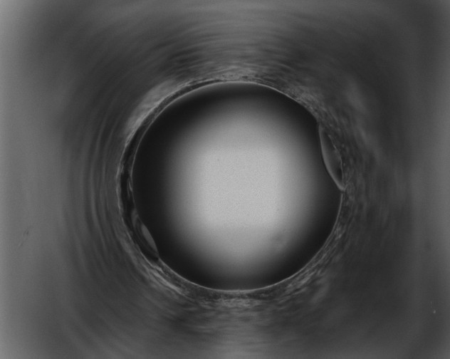 X0000052650242200507160230