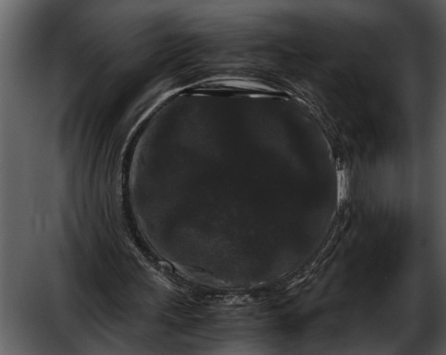 X0000052650243200507160230