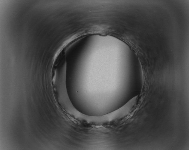 X0000052650244200507160230