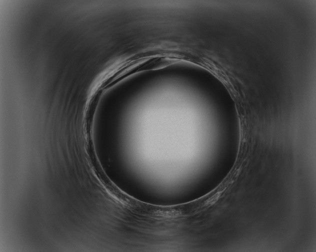 X0000052650245200507160230