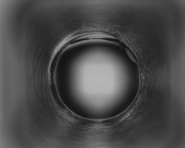 X0000052650246200507160230