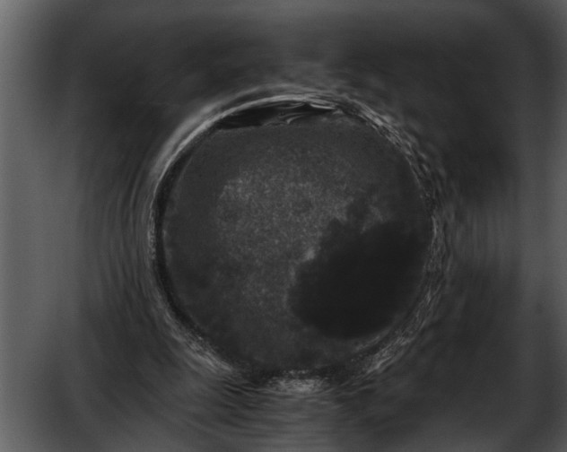 X0000052650247200507160230