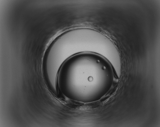 X0000052650248200507160230