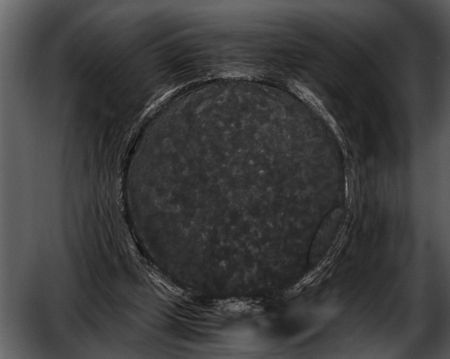 X0000052650249200507160231