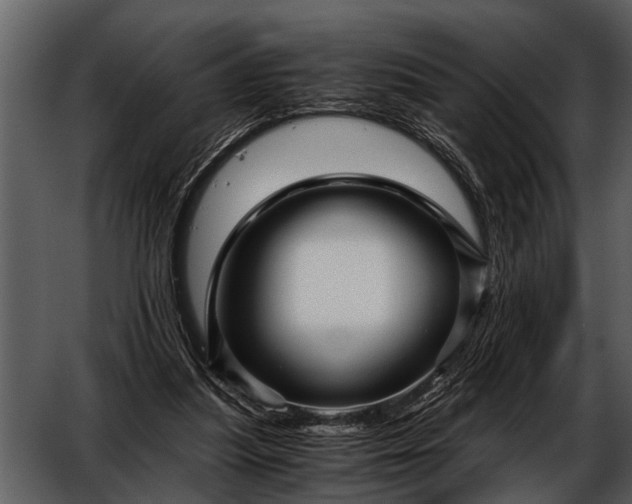 X0000052650251200507160231