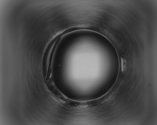 X0000052650252200507160231