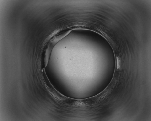 X0000052650253200507160231