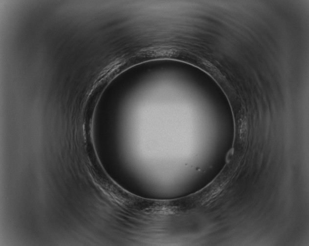 X0000052650254200507160231