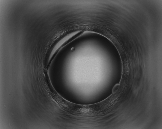 X0000052650255200507160231