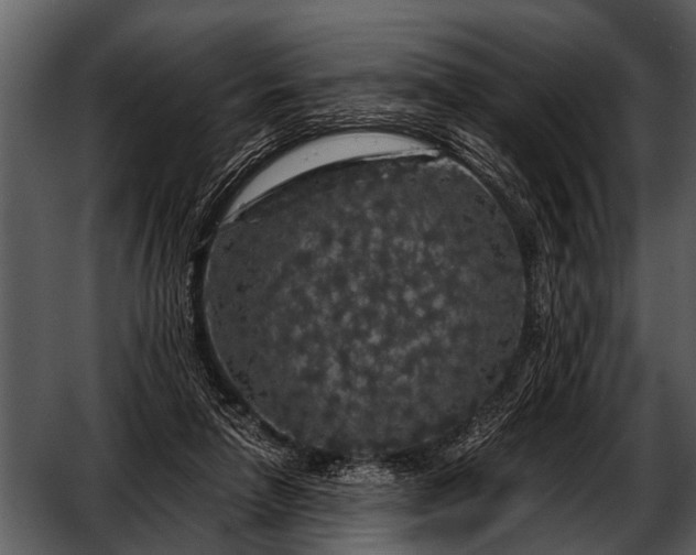 X0000052650258200507160231